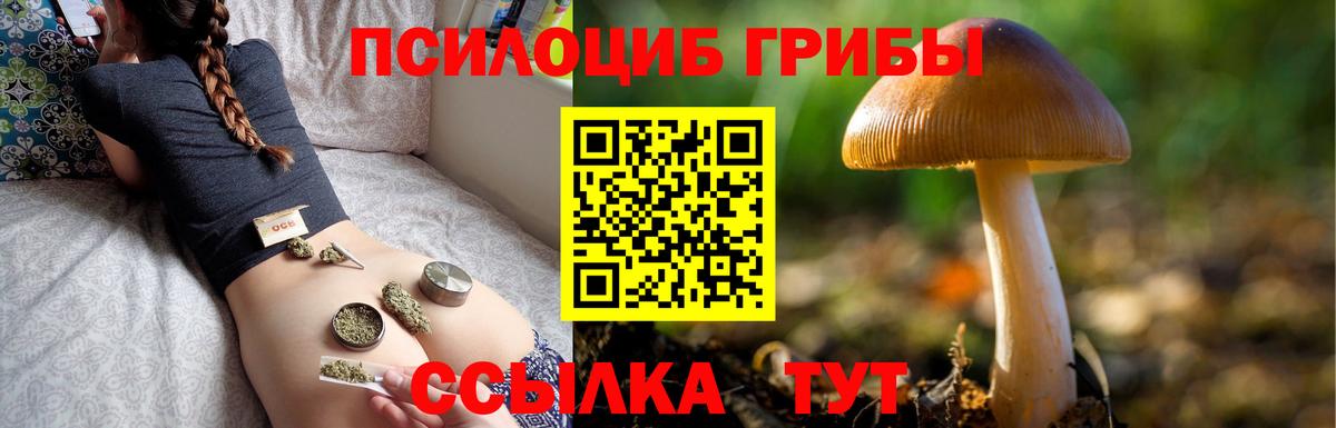 Галлюциногенные грибы прущие грибы  Вход с VPN  Кондопога 